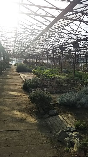 e0047322_22471299.jpg
