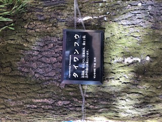 d0025725_2128116.jpg