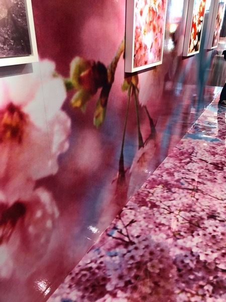 父と深まった絆 ~学芸会と蜷川実花展~_a0284626_13465957.jpg