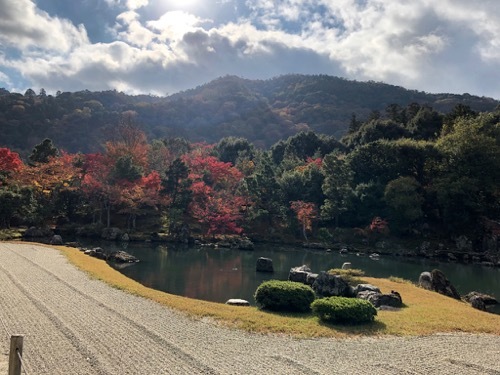 年に1度の女子旅🚃京都・嵐山に行ってきました♪②嵐山観光_a0284626_15394237.jpg