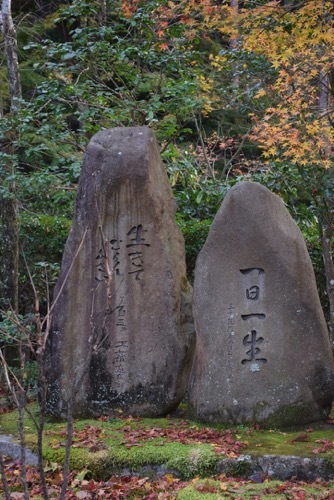 京都旅2日目|京都・大原で家族と過ごす_a0284626_18583231.jpg