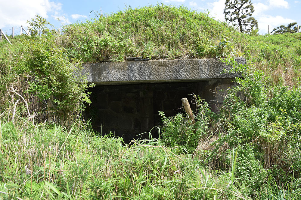 江戸湾を守った海上の砲台「品川台場」を歩く。 その1_e0158128_13145576.jpg