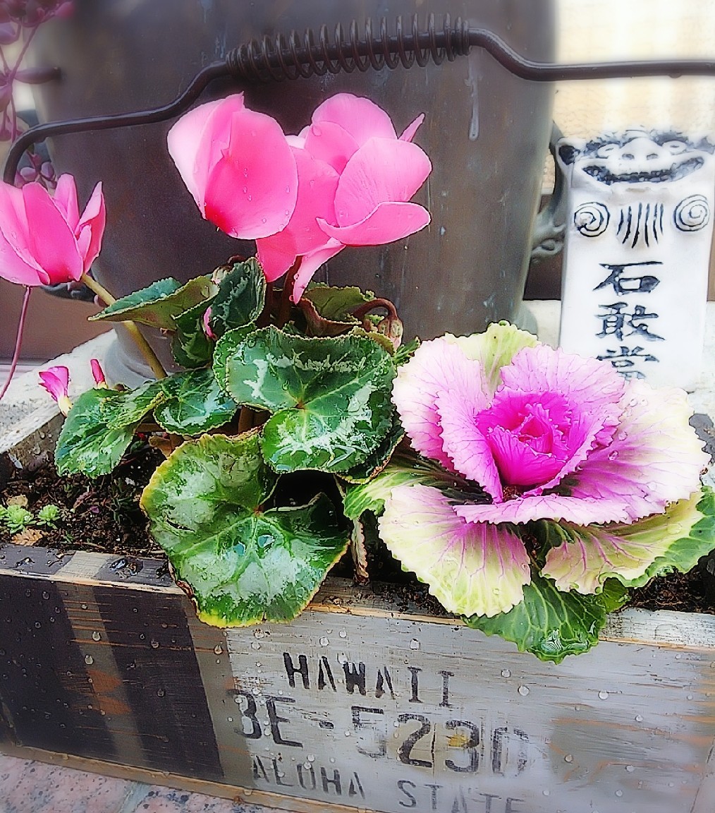 b0186130_12152397.jpg