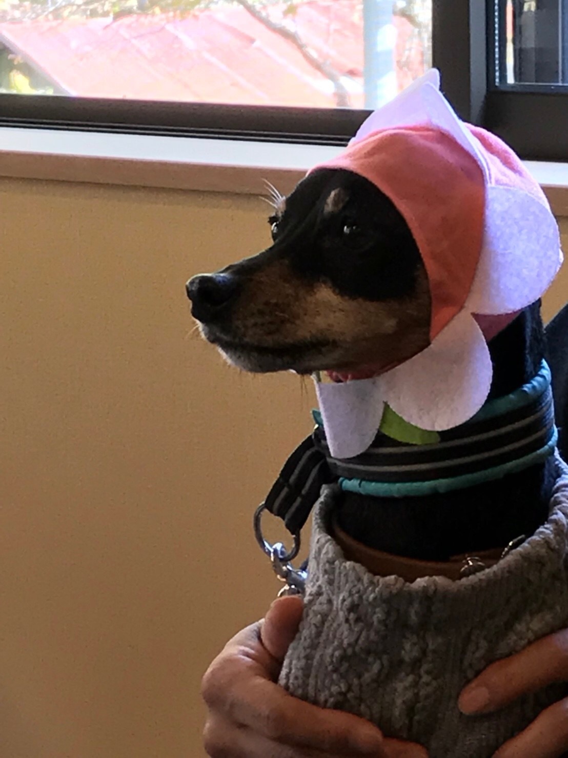 a0291132_12302091.jpeg