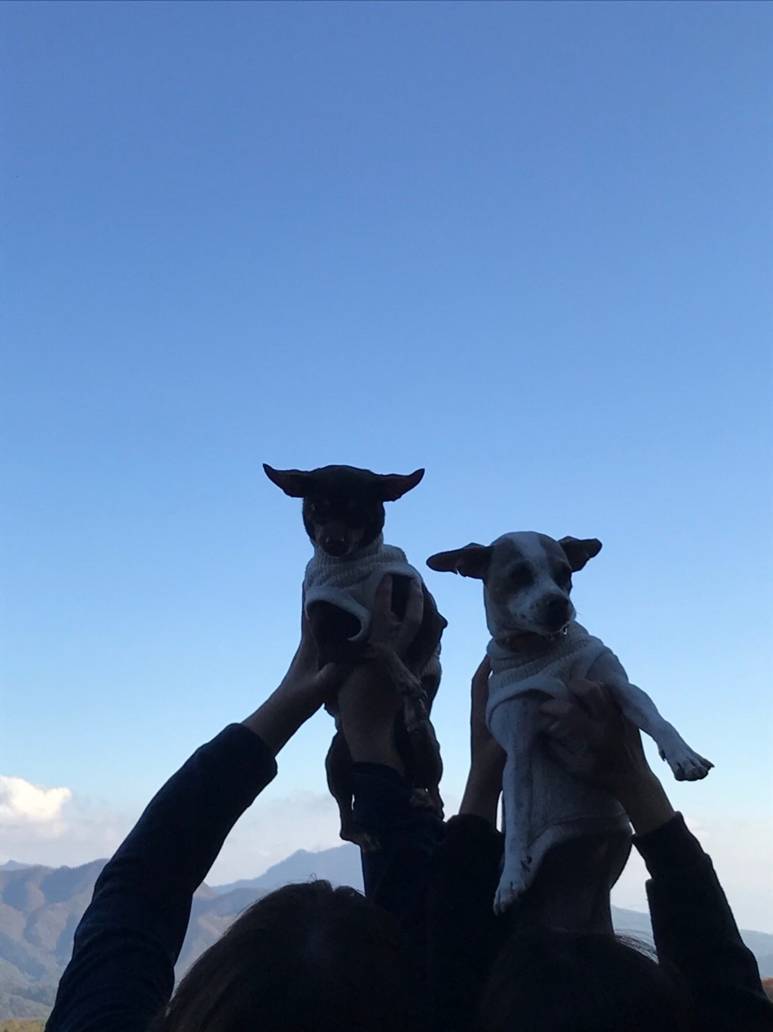 a0291132_12334681.jpeg