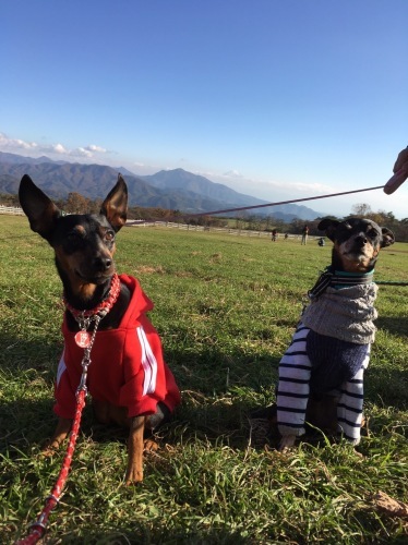 a0291132_12383416.jpeg