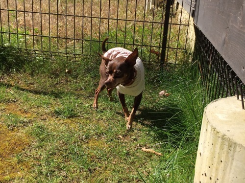 a0291132_12391530.jpeg