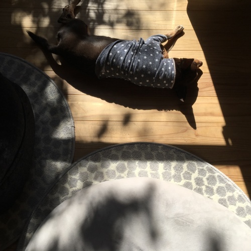 a0291132_16010957.jpeg