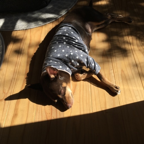 a0291132_16031138.jpeg
