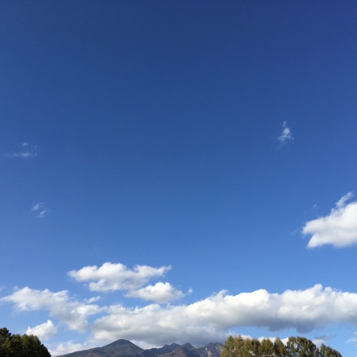 a0291132_16040716.jpeg