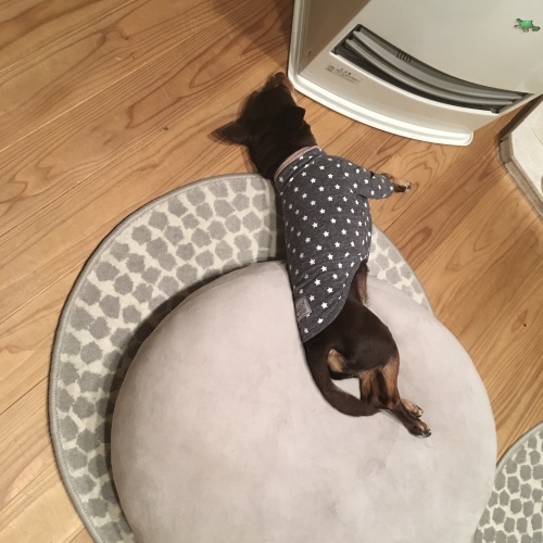 a0291132_16281438.jpeg