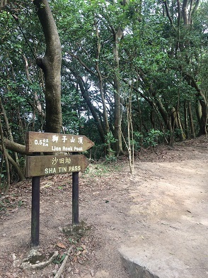 f0371533_17195174.jpg