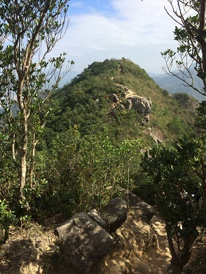 f0371533_17211968.jpg
