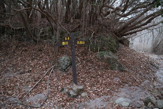 e0272335_15391967.jpg