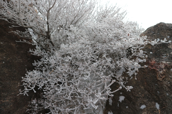 e0272335_16172560.jpg
