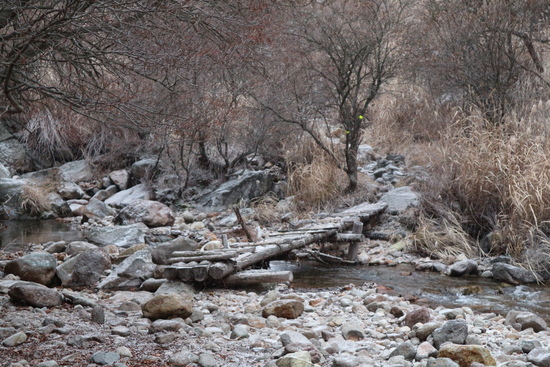 e0272335_1652269.jpg