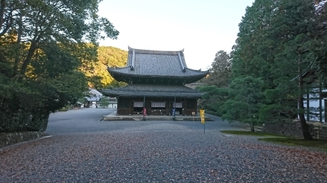 a0074543_22561500.jpg