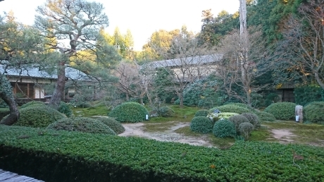 a0074543_22561862.jpg