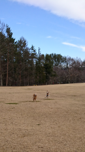 a0329943_15324510.png