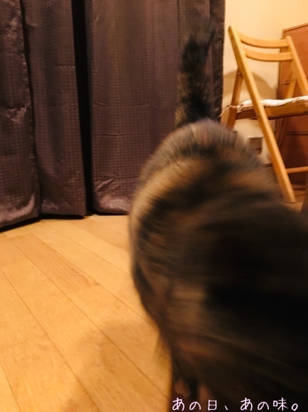 a0305046_09192290.jpg