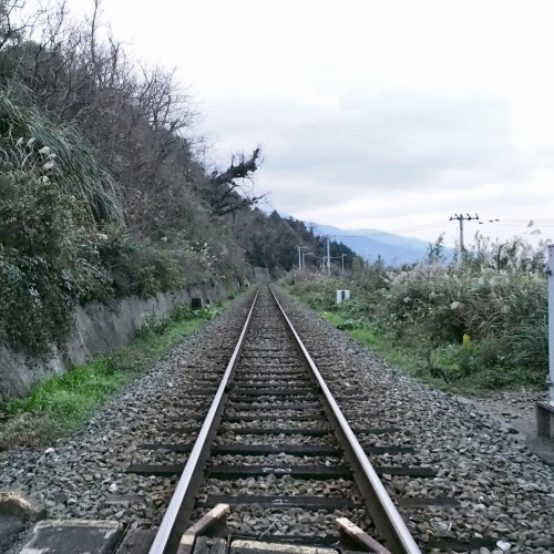 The Trip 〜2018年に見つけた極上Cafe〜_c0217853_18002725.jpeg