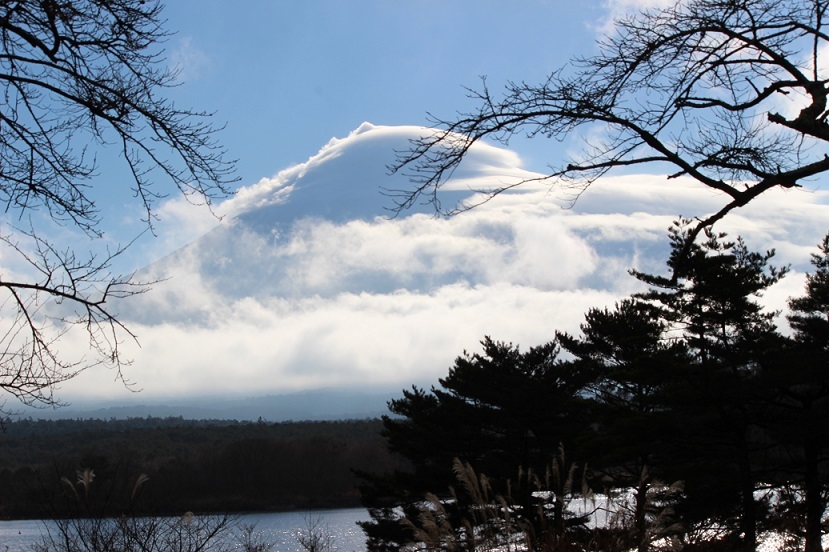 c0278360_22471531.jpg