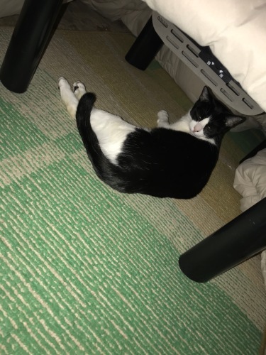 a0216583_23375255.jpeg
