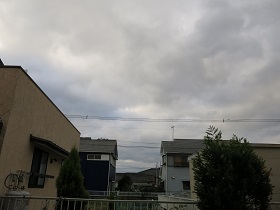 e0130185_9593393.jpg