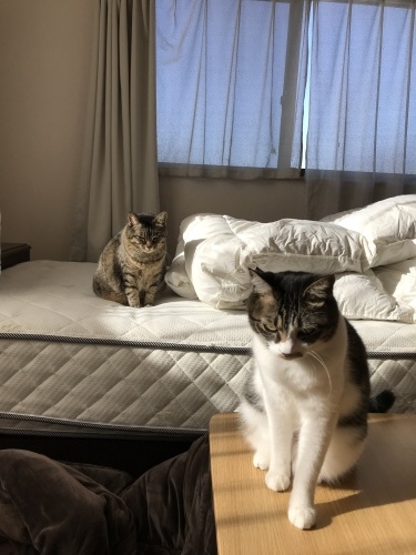 c0340786_09224287.jpeg