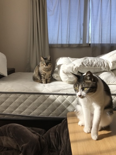 c0340786_09231068.jpeg