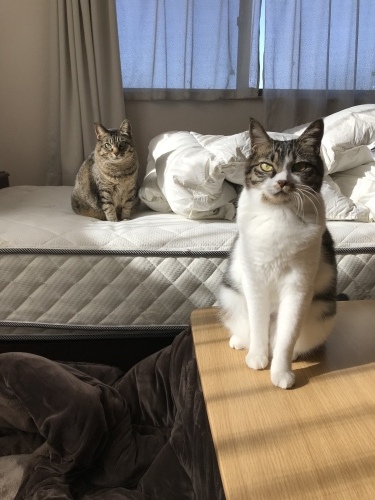 c0340786_09233247.jpeg