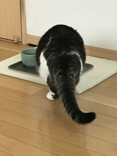 c0340786_09280772.jpeg