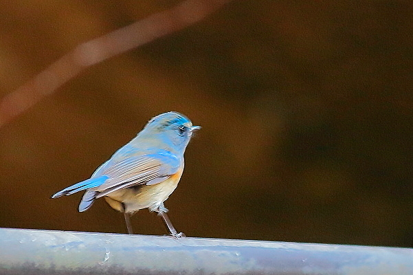 d0334291_17012911.jpg
