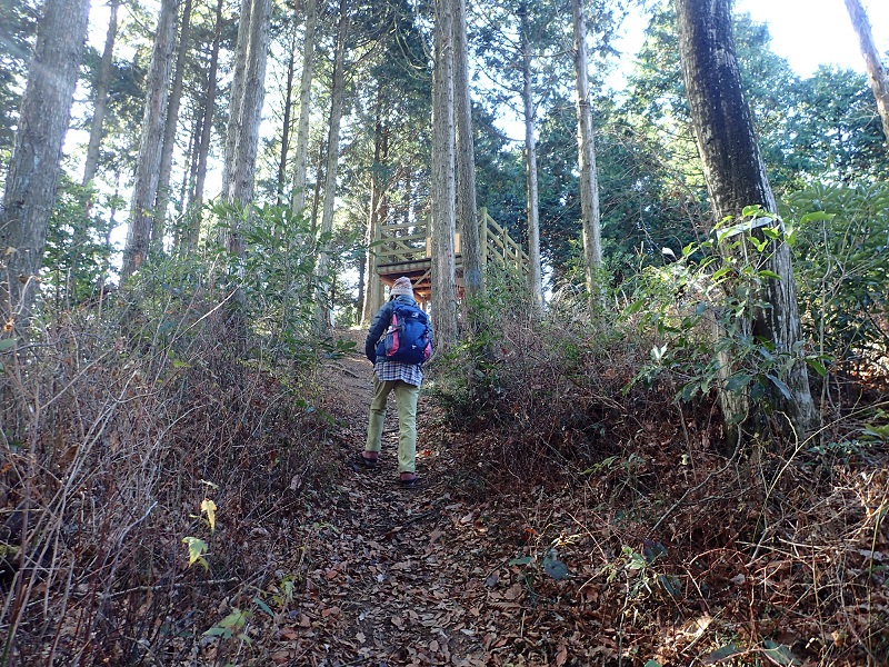 今年最後の山歩き「本宮山607,5ｍ」霊山寺コース_c0366392_20505394.jpg