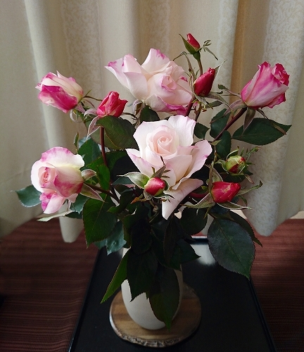 e0289203_15551004.jpg