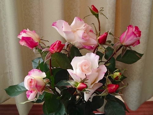 e0289203_15551310.jpg