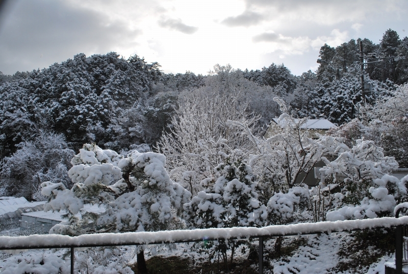 雪の日　我が家からの情景（借景）_b0177208_20444667.jpg