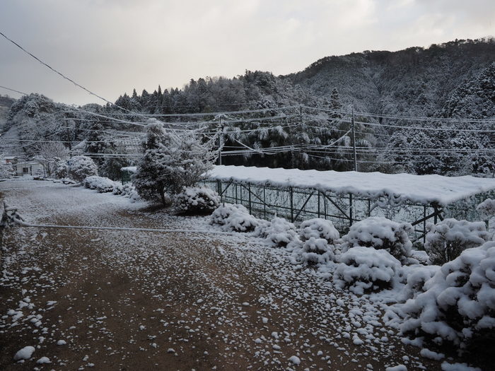 今朝の雪景色_c0116915_22374122.jpg
