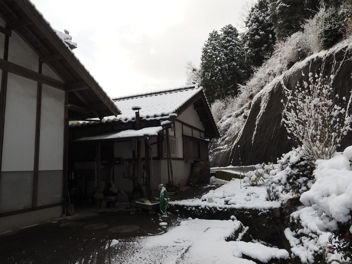 今朝の雪景色_c0116915_22410787.jpg