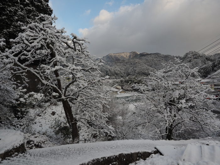さぶやま方面の雪景色_c0116915_22450518.jpg