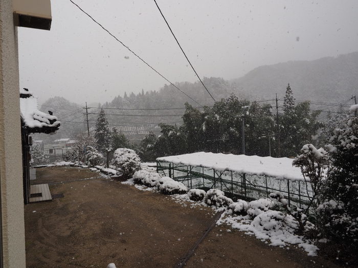 雪が降って来た！_c0116915_22505471.jpg