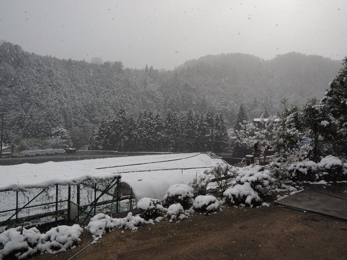 雪が降って来た！_c0116915_22510481.jpg