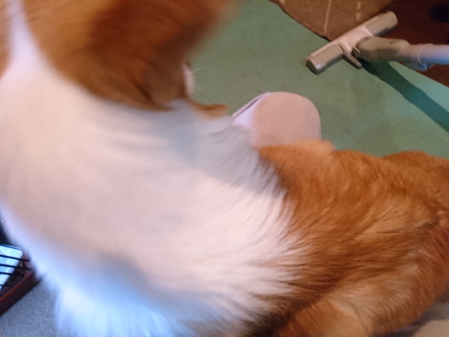 e0071225_00245532.jpg