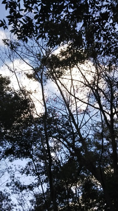a0248230_18220246.jpg
