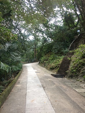 f0371533_23082050.jpg