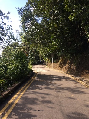 f0371533_23090982.jpg
