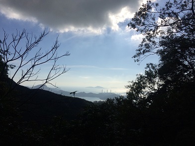 f0371533_23092146.jpg