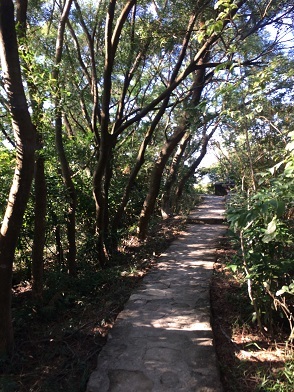 f0371533_23094780.jpg