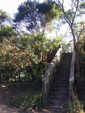 f0371533_23095817.jpg