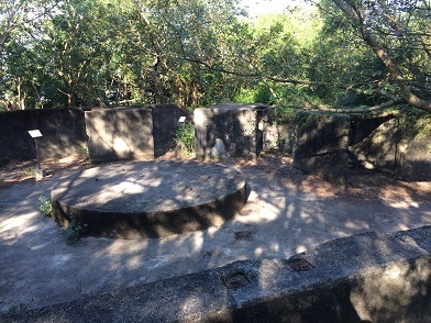 f0371533_23100703.jpg